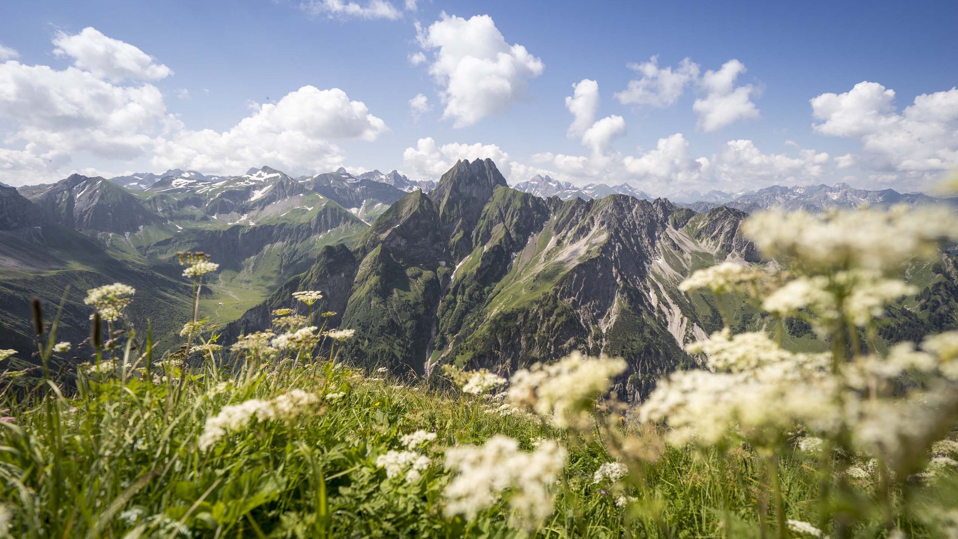Plant euren Urlaub in Oberstdorf Berglandschaft mit grünen Wiesen und weißen Blumen unter blauem Himmel