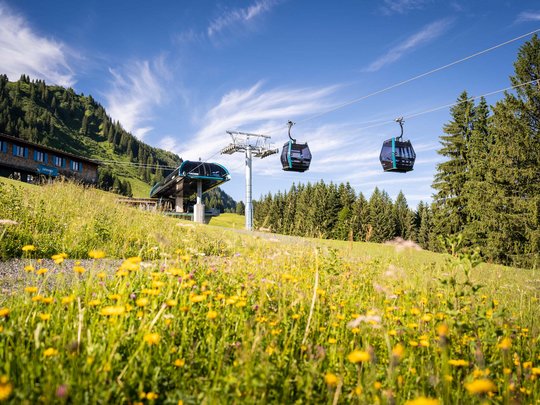 Plant euren Urlaub in Oberstdorf Seilbahnkabinen über blühender Bergwiese mit Wald und blauem Himmel