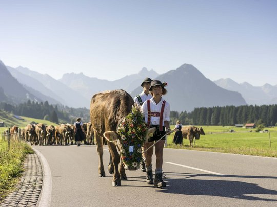 Plant euren Urlaub in Oberstdorf Kinder in Tracht treiben geschmückte Kühe auf einer Straße mit Alpen im Hintergrund
