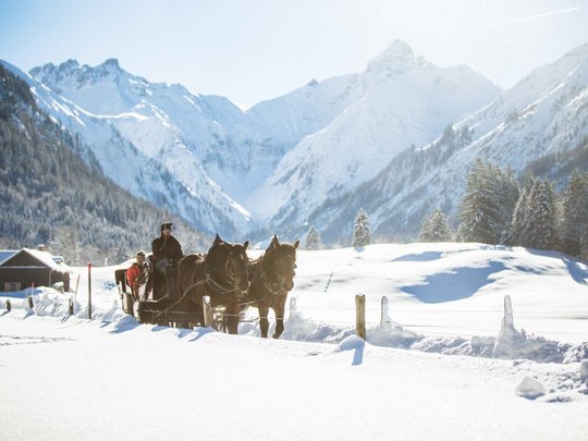 Hahnenköpfle: Ferienwohnung, Lodge und Hotel in Oberstdorf Kutschfahrt mit Pferden durch verschneite Winterlandschaft und Berge im Hintergrund