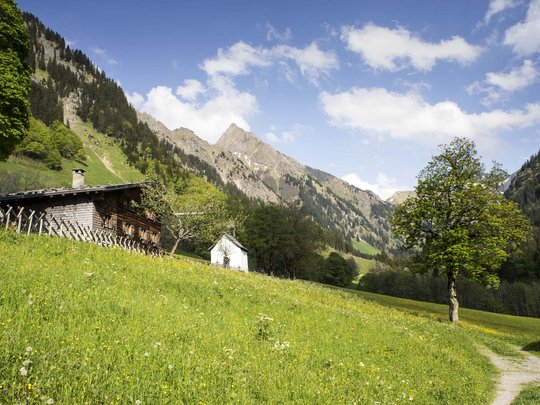Plant euren Urlaub in Oberstdorf Grünes Tal mit Blumenwiese, Baum, Almhütte und Bergen unter blauem Himmel